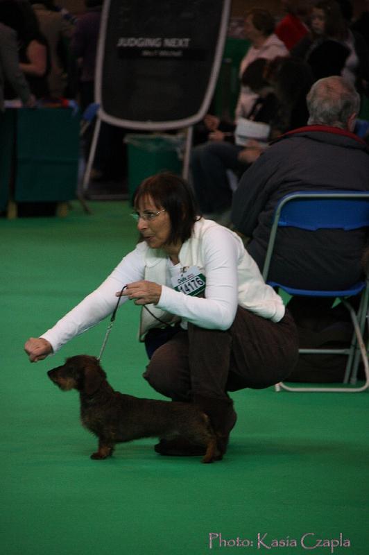 Crufts2011_2 697.jpg